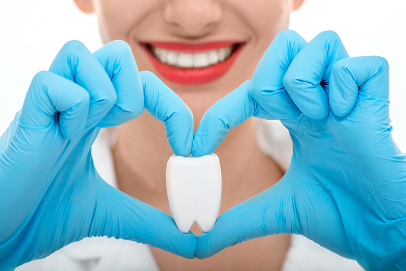 female dentist holding in a heart shape an example of a molar with latex gloves